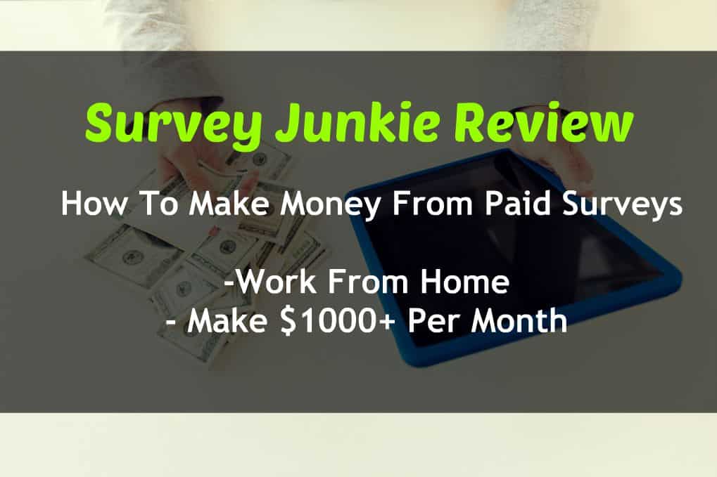 Survey Junkie Review Get Paid Daily With Online Surveys For Money Unconventional Prosperity
