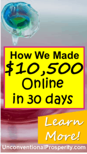 Check out how we made $10,533 online in just 30 days with almost no costs! Blogging is the BEST business model on the planet and the barrier for entry is so low. You can get started and make money online today!