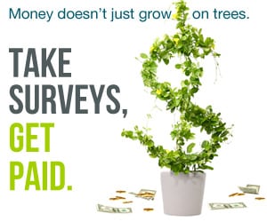 What are some survey sites that actually pay you?